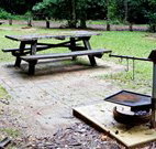 Bellbird campground - 2032 Olympic Games