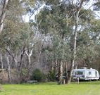 Culcairn Caravan Park - 2032 Olympic Games