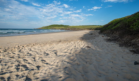 Racecourse Campground - 2032 Olympic Games 2