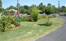 Glen Innes Motel - Glen Innes - 2032 Olympic Games 1