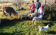 Dairy Park Farm Stay Bed And Breakfast - thumb 1