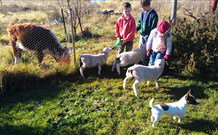 Dairy Park Farm Stay Bed And Breakfast - 2032 Olympic Games 1