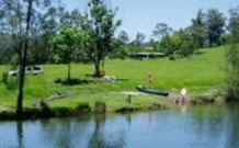 Gosforth NSW 2032 Olympic Games