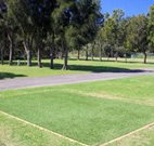Spotted Gums on Hermitage - 2032 Olympic Games