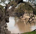 Valley View Cottage Hunter Valley - 2032 Olympic Games