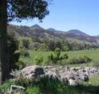 Woolshed Hill Estate - 2032 Olympic Games