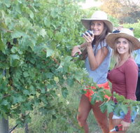 McLaren Vale Backpackers - 2032 Olympic Games