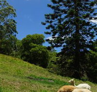 Wattle Gully Retreat