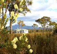 Buttongrass Retreat