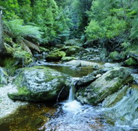 Tarkine Wilderness Experience at Corinna - 2032 Olympic Games