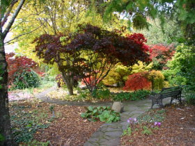 Kaydale Lodge Gardens Accommodation - 2032 Olympic Games 1