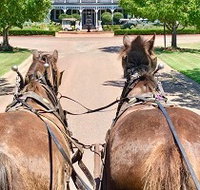Hunter Valley Horses - 2032 Olympic Games