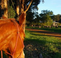 Billa Billa Farm Cottages - 2032 Olympic Games