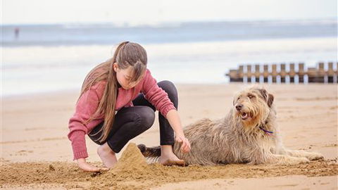 Front Beach Torquay Beach Houses - 2032 Olympic Games 4