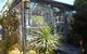 Belmont Bed & Breakfast - thumb 7