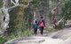Girraween National Park Camping Ground - thumb 2