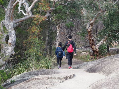 Girraween National Park Camping Ground - 2032 Olympic Games 2