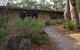 Girraween National Park Camping Ground - thumb 3