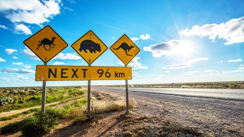 Nullarbor Roadhouse - 2032 Olympic Games 0