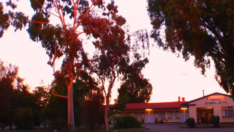 Murray Bridge Central Olympic Motel And Cottages - 2032 Olympic Games 0