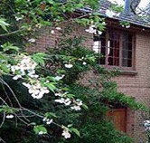 Crafers Cottages - Cherrytree Cottage - 2032 Olympic Games