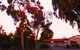 Murray Bridge Central Olympic Motel And Cottages - thumb 1