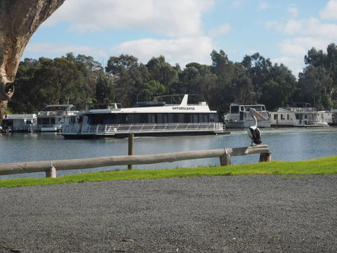 Murray Bridge Marina Camping And Caravan Park - 2032 Olympic Games 6