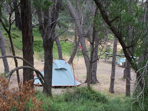 Allports Beach Camping Ground - 2032 Olympic Games 5