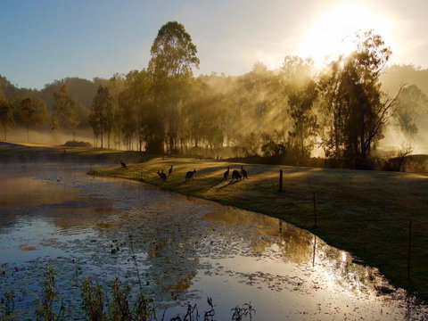 Ramada Resort Kooralbyn Valley - 2032 Olympic Games 6