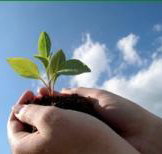 Vital Spirit Natural Health - 2032 Olympic Games