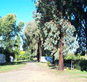 Cudal Caravan Park - 2032 Olympic Games