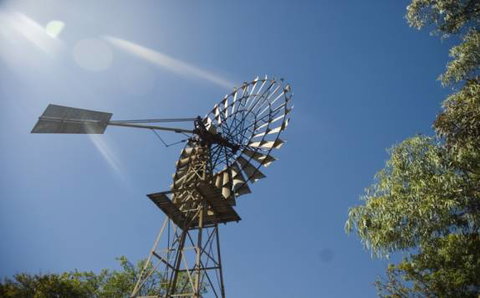 Lazy Lizard Tavern & Caravan Park - 2032 Olympic Games 7