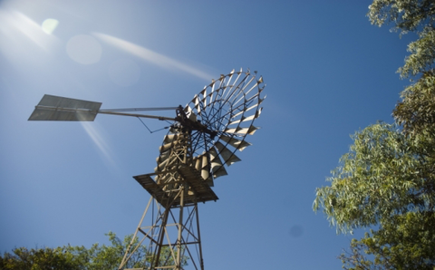 Lazy Lizard Tavern & Caravan Park - 2032 Olympic Games 2