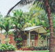 King Reef Resort Van Park - 2032 Olympic Games