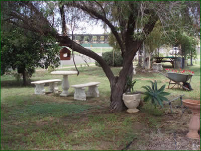 Manilla NSW 2032 Olympic Games
