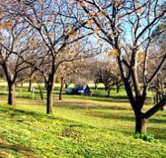 Wellington Caves Caravan Park