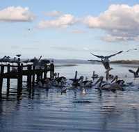 Pelicans At Denmark - Holiday Home