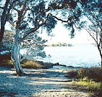 The Cove