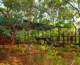 Maningrida NT 2032 Olympic Games