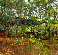 Arnhemland Barramundi Nature Lodge - 2032 Olympic Games
