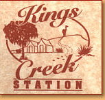Kings Creek Station - 2032 Olympic Games