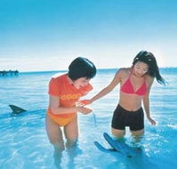 Kookaburra Air - 2032 Olympic Games