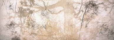 Dianne Tanzer Gallery & Projects - 2032 Olympic Games 3