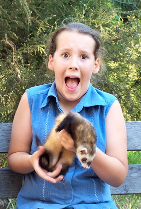 Peel Zoo - 2032 Olympic Games 1