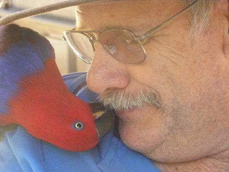 Peel Zoo - 2032 Olympic Games 3