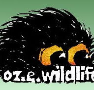 OZe Wildlife - 2032 Olympic Games