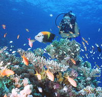 Drop Zone Dive Site - 2032 Olympic Games
