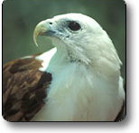 Kakadu National Park - 2032 Olympic Games