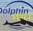 Dolphin Wild - 2032 Olympic Games