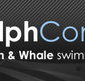 Dolphcom - Dolphin  Whale Swimming Adventures - 2032 Olympic Games